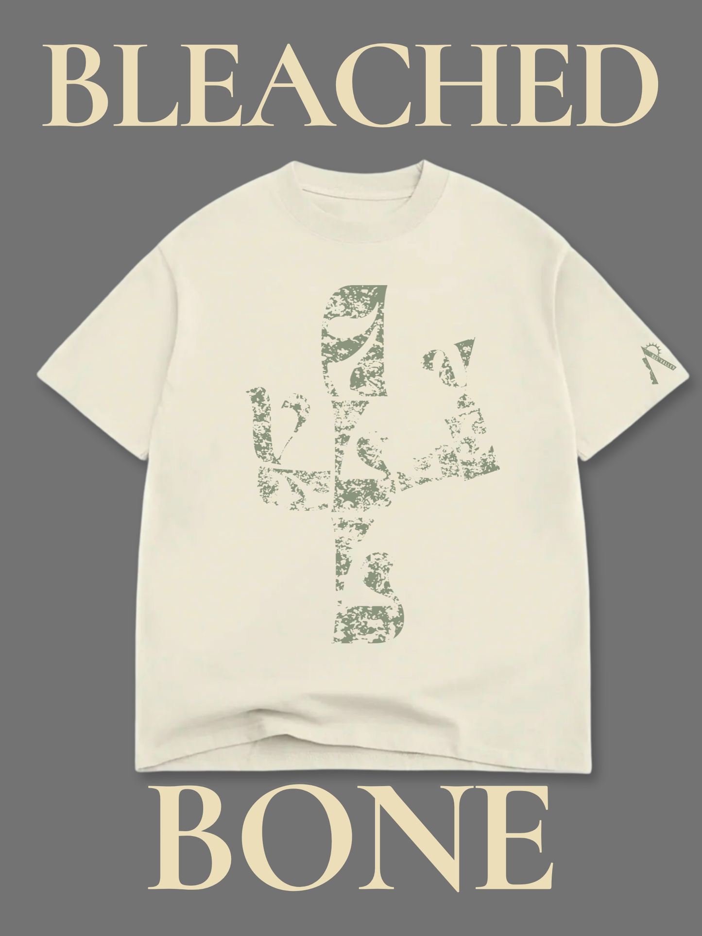 *SONORAN NOIR | Chapter I